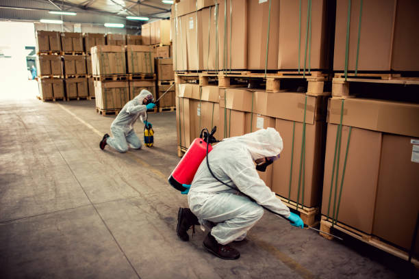 Best Residential Pest Control  in Desert Palms, CA