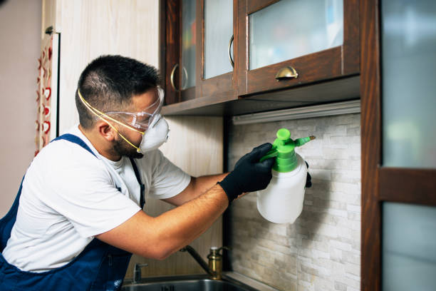 Best Flea Control Services  in Desert Palms, CA
