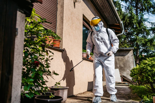 Desert Palms, CA Pest Control Company