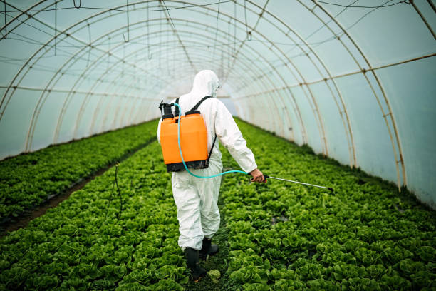Pest Prevention Services in Desert Palms, CA
