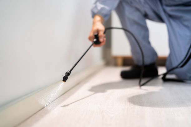 Best Pest Removal Services  in Desert Palms, CA