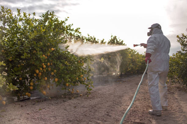 Best Commercial Pest Control Services  in Desert Palms, CA