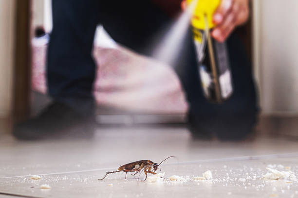 Best Bird Control  in Desert Palms, CA